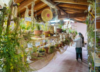 Le campagne in fiore della Marmilla sono pronte ad accogliere i visitatori il 20 e 21 aprile per il 38′ Festival delle erbe spontanee organizzato a Ussaramanna