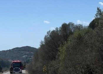 Un vasto incendio si è sviluppato stamane nel territorio del comune di Sarroch, in località Perdesali