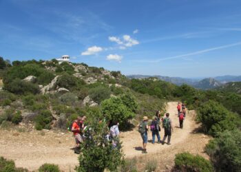 È online il programma degli eventi dell’ultimo appuntamento di Foreste Aperte nel Parco di Tepilora, in calendario a Bitti domenica 28 aprile
