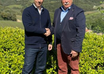 Massimiliano Farci è il nuovo executive commercial manager di Cantina Siddùra