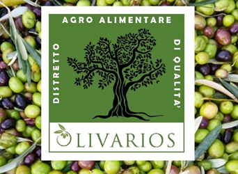 Si riunisce giovedi 18 aprile, alle ore 10.00, presso la sala del comune di Oristano, il direttivo della Fondazione del Distretto AgroAlimentare di Qualità  Olivicolo “ OLIVARIOS”