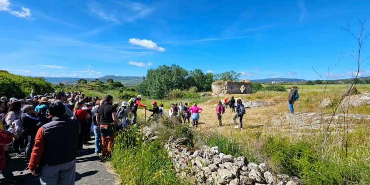 Torralba: grande successo per la prima edizione della “Passeggiata Archeologica – alla scoperta della Valle dei Nuraghi”