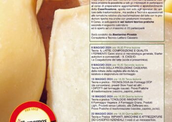 A Villanova Monteleone un corso di caseificazione promosso dalla Pro Loco