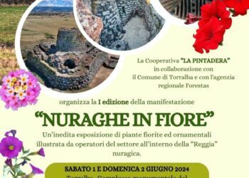 Torralba: al via la prima edizione di “Nuraghe in fiore”