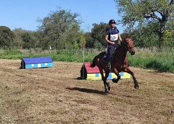«Agenzia di sviluppo ippico bloccata da una delibera della Giunta Solinas e non ancora sbloccata dalla Giunta Todde». La Fise Sardegna sospende le manifestazioni