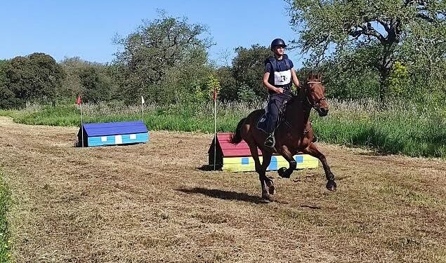 «Agenzia di sviluppo ippico bloccata da una delibera della Giunta Solinas e non ancora sbloccata dalla Giunta Todde». La Fise Sardegna sospende le manifestazioni