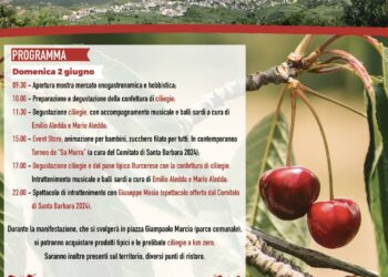 Burcei festeggia le sue ciliegie