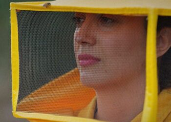 “Api regine”: due premi per il Doc di Rai Documentari girato in Sardegna