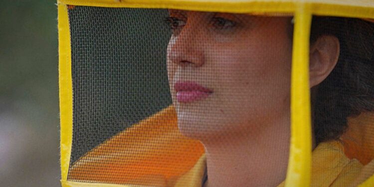 “Api regine”: due premi per il Doc di Rai Documentari girato in Sardegna