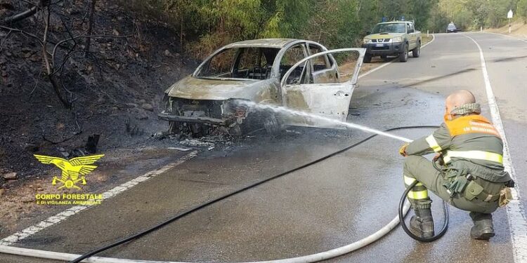 Pula: spento un incendio che minacciava la pineta di Santa Margherita