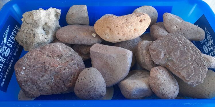 Olbia: attività della Security dell’Autorità di Sistema Portuale del Mare di Sardegna