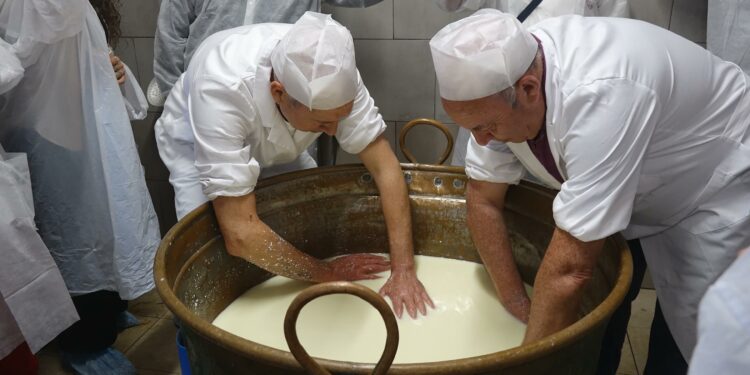 Si è chiusa con successo, tra Macomer e Villa Piercy, la tre giorni di eventi “Dop Cheese Sardinia” allestita da Laore Sardegna e dedicata alle tre Dop casearie sarde