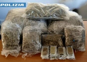 Deteneva oltre 12 chili di droga nel garage: a Cagliari un cinquantacinquenne è stato arrestato dalla Polizia di Stato