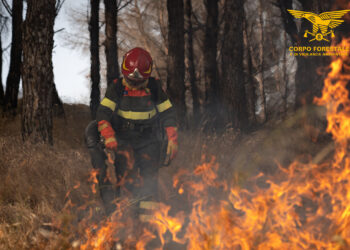 Incendio in agro del comune di Pimentel, sul posto anche un elicottero proveniente da Villasalto