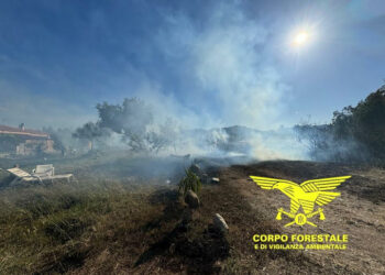 Oggi, su un totale di 5 incendi sviluppatisi sul territorio regionale, uno ha richiesto l’intervento di un mezzo aereo del Corpo forestale