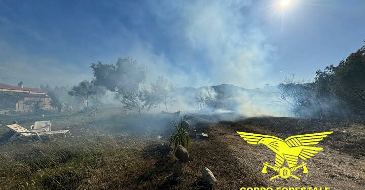Oggi, su un totale di 5 incendi sviluppatisi sul territorio regionale, uno ha richiesto l’intervento di un mezzo aereo del Corpo forestale