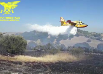 Delitti di incendio, in Sardegna già segnalate sette persone