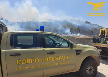 Incendio nelle campagne di Decimomannu, per lo spegnimento è intervenuto anche un elicottero del Corpo forestale