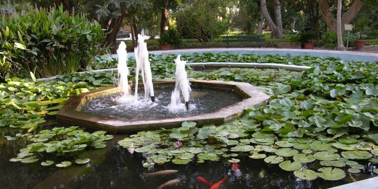 “Calvino in Orto!”, all’Orto botanico di Cagliari un’estemporanea di pittura