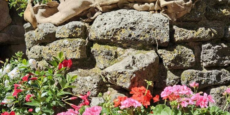 Torralba: grande successo per “Nuraghe in fiore”