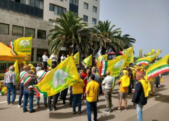 Fauna selvatica incontrollata in Sardegna: il problema arriva davanti alle prefetture di Cagliari, Sassari, Oristano e Nuoro