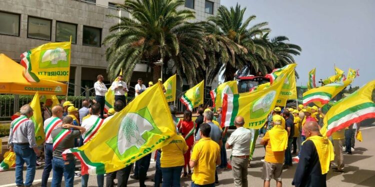 Fauna selvatica incontrollata in Sardegna: il problema arriva davanti alle prefetture di Cagliari, Sassari, Oristano e Nuoro