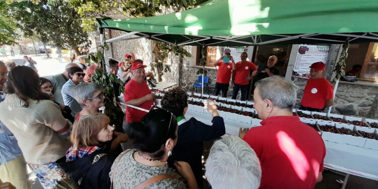 Bonarcado: successo per la ventesima Sagra della ciliegia