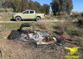 Non si ferma l’azione del Corpo forestale a tutela del Parco regionale di Molentargius