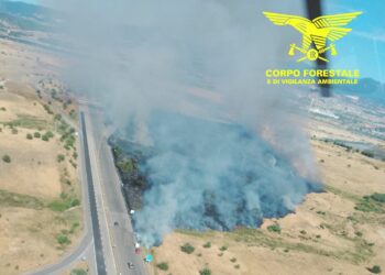 Ieri, su 20 incendi sviluppatisi sul territorio regionale, 3 hanno richiesto l’intervento di velivoli della flotta aerea regionale