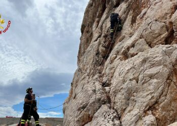 Santa Maria Navarrese: una capra rimane bloccata in una parete rocciosa, la salvano i vigili del fuoco