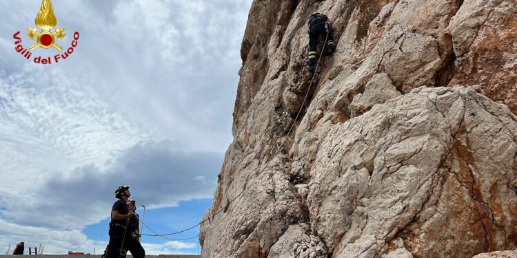 Santa Maria Navarrese: una capra rimane bloccata in una parete rocciosa, la salvano i vigili del fuoco
