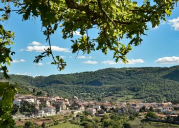 A Mamoiada il terzo incontro rivolto alle realtà produttive barbaricine di vino e olio