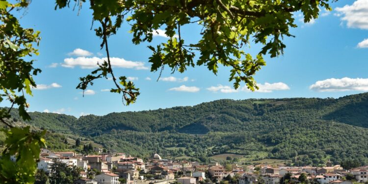 A Mamoiada il terzo incontro rivolto alle realtà produttive barbaricine di vino e olio