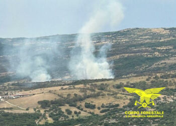 Oggi, su 11 incendi sviluppatisi sul territorio regionale, 3 hanno richiesto l’intervento dei mezzi aerei della flotta regionale