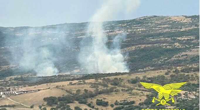 Oggi, su 11 incendi sviluppatisi sul territorio regionale, 3 hanno richiesto l’intervento dei mezzi aerei della flotta regionale