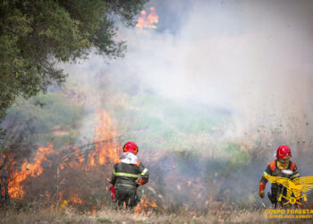 Oggi in Sardegna si sono sviluppati 17 incendi, per 4 dei quali è stato richiesto l’intervento di 5 elicotteri della flotta regionale e 2 Canadair