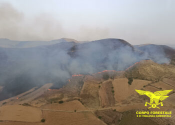 Oggi, su 14 incendi sviluppatisi sul territorio regionale, 3 hanno richiesto anche l’intervento di velivoli della flotta regionale e nazionale