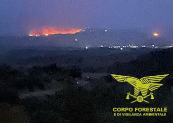 Il Corpo forestale sta proseguendo le attività di spegnimento del vasto incendio scoppiato ieri in località BARRU, nel comune di Guasila