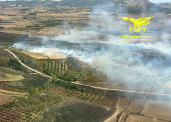 Oggi, quattro degli otto incendi sviluppatisi sul territorio regionale, hanno richiesto l’intervento dei mezzi aerei della flotta regionale