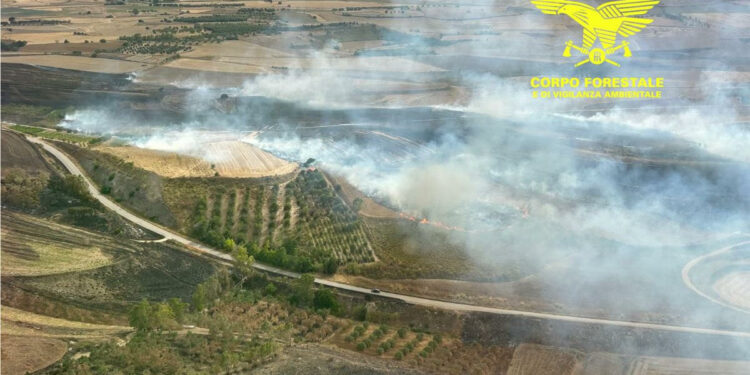 Oggi, quattro degli otto incendi sviluppatisi sul territorio regionale, hanno richiesto l’intervento dei mezzi aerei della flotta regionale