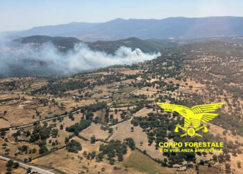 Sono stati 13 gli incendi sviluppatisi oggi in Sardegna, tre dei quali hanno richiesto l’intervento dei mezzi aerei della flotta regionale
