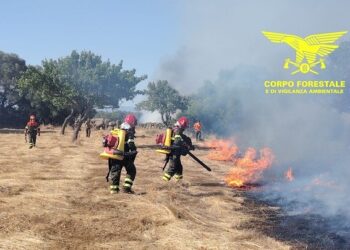 Incendi a Dolianova e Villasalto, per lo spegnimento sono intervenuti anche mezzi aerei della flotta regionale