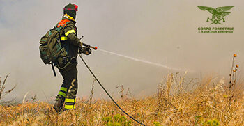 Incendi nel territorio di La Maddalena, arrestato un 38enne