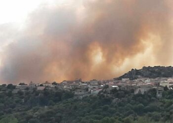 Incendio a Orotelli. Il Comune: «Profonda tristezza e senso di smarrimento uniti a indignazione»