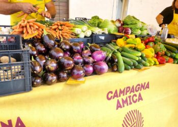 A San Teodoro, Siniscola e Cala Gonone i mercatini estivi di Campagna Amica