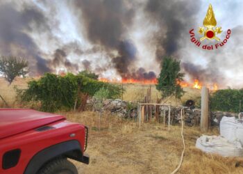 Ottana: incendio tra la zona industriale e il paese