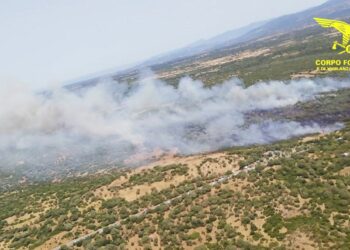 Oggi 3 dei 15 incendi sviluppatisi sul territorio regionale hanno richiesto l’ intervento dei mezzi aerei della flotta regionale e nazionali