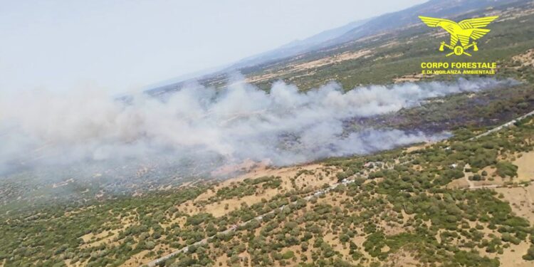 Oggi 3 dei 15 incendi sviluppatisi sul territorio regionale hanno richiesto l’ intervento dei mezzi aerei della flotta regionale e nazionali