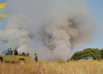 Incendi a Orgosolo e Oristano, sul posto anche mezzi aerei della flotta regionale