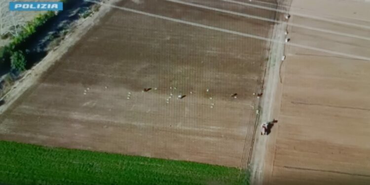 A Monastir la Polizia di Stato ha arrestato il titolare di un’azienda agricola per l’ipotesi di reato di sfruttamento di lavoro di cittadini stranieri